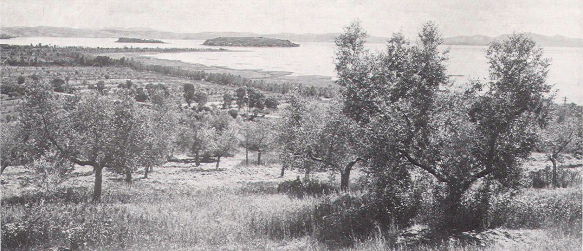 lac Trasimene - endroit ou les Romains ont ete vaincus.jpg